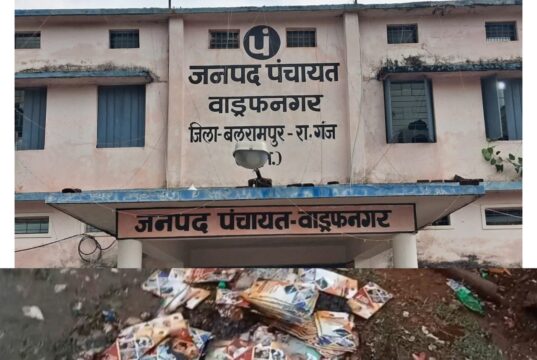 कचरे के ढेर के बीच मिली सरकारी प्रचार सामग्री, सीईओ की कार्यशैली पर उठे सवाल |